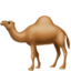 🐪